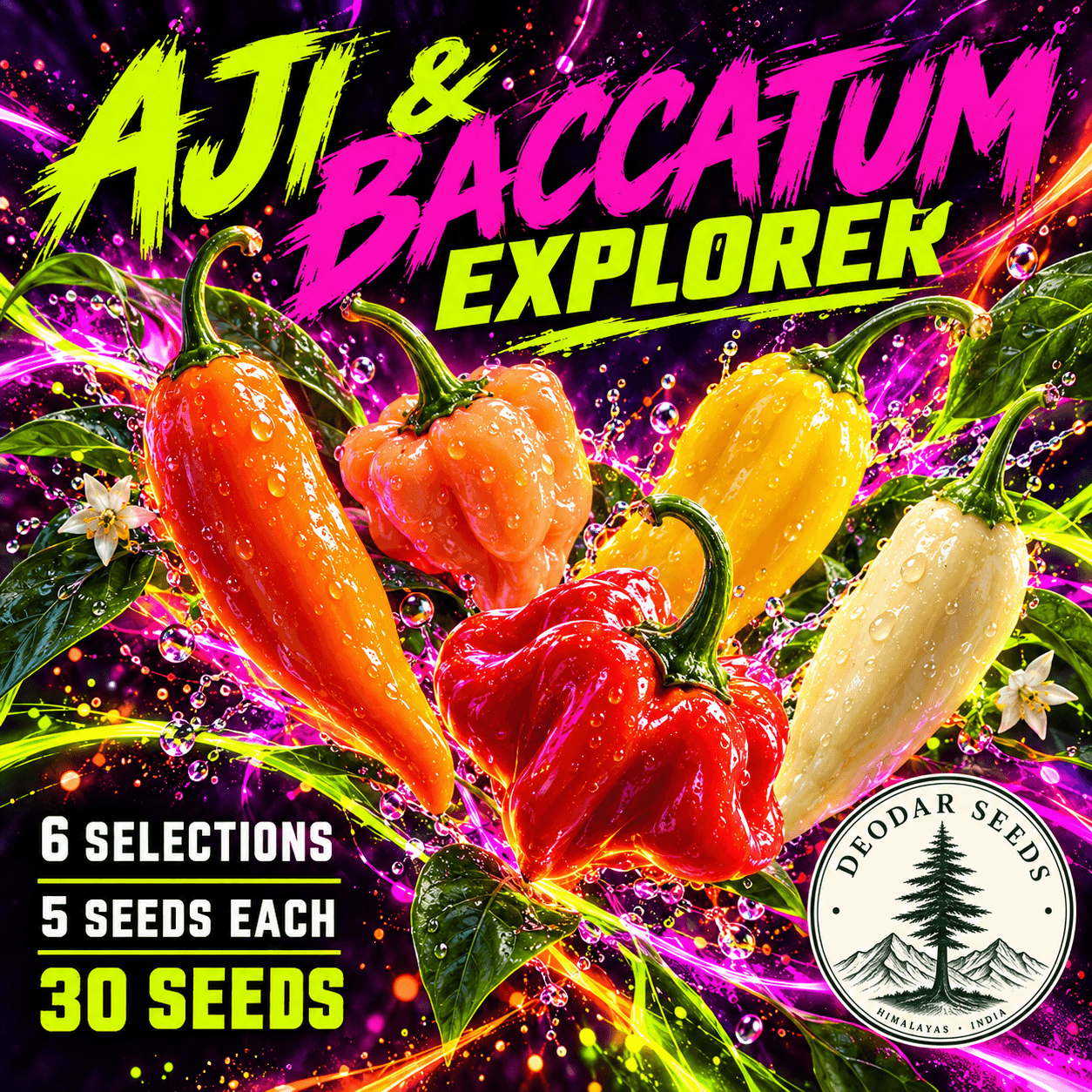 Aji & Baccatum Explorer — 6 Seed Selections