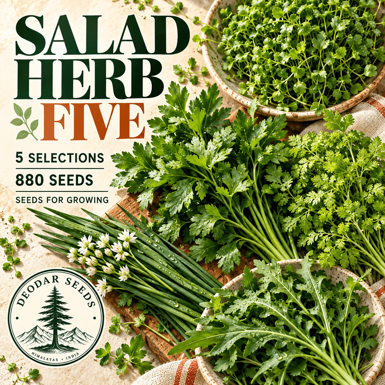 Salad Herb Five — 5 Seed Selections — AI-generated kit illustration