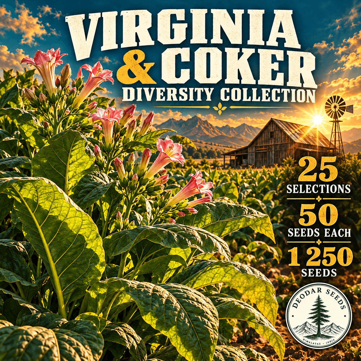 Virginia & Coker Diversity Collection — 25 Seed Selections | Tobacco / Nicotiana tabacum — AI-generated kit illustration