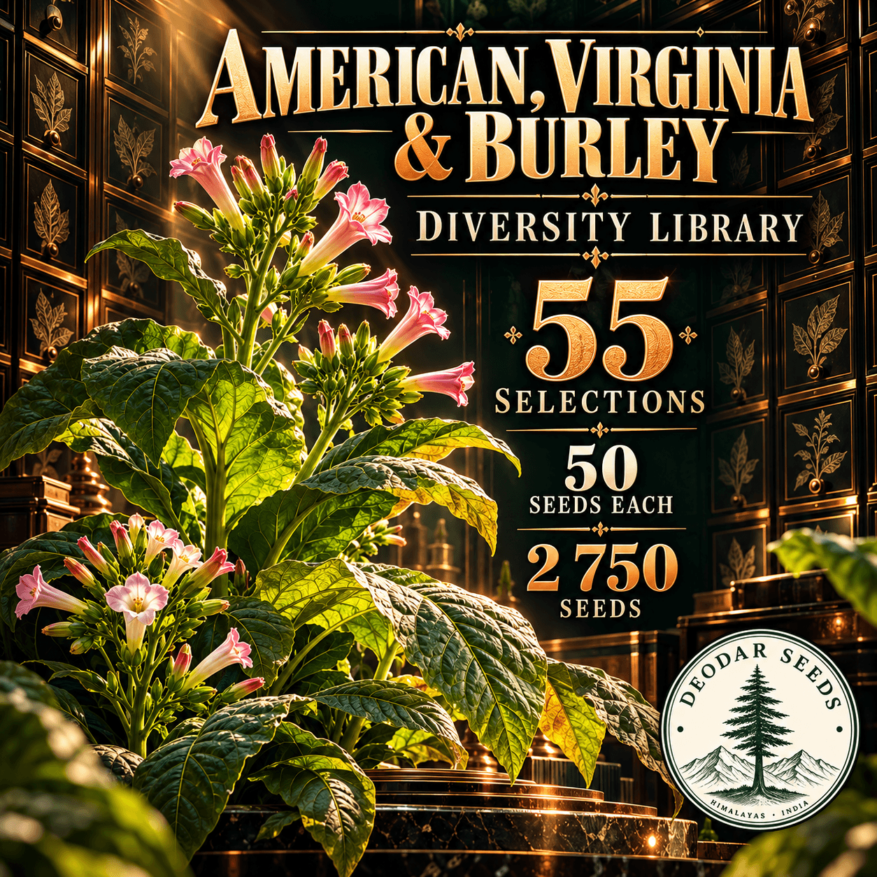 American, Virginia & Burley Diversity Library — 55 Seed Selections | Tobacco / Nicotiana tabacum — AI-generated kit illustration