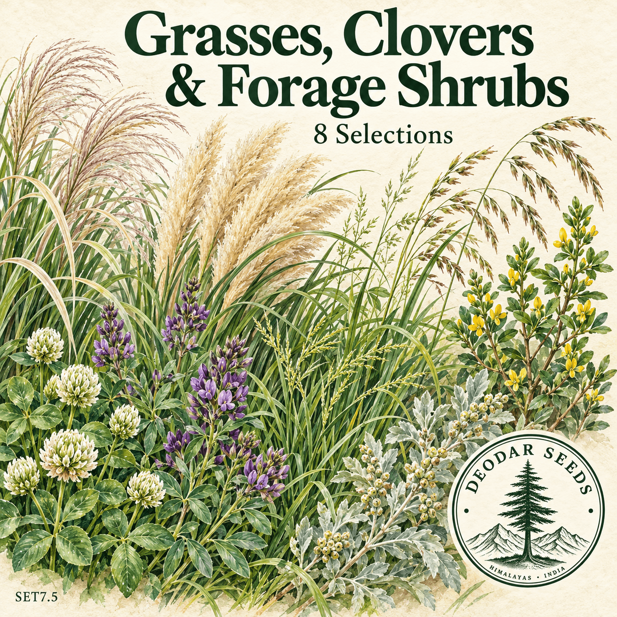 Grasses, Clovers & Forage Shrubs Collection — 8 Seed Selections
