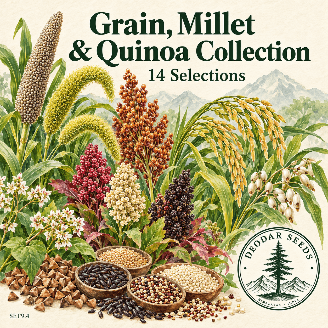 Grain, Millet & Quinoa Collection — 14 Seed Selections