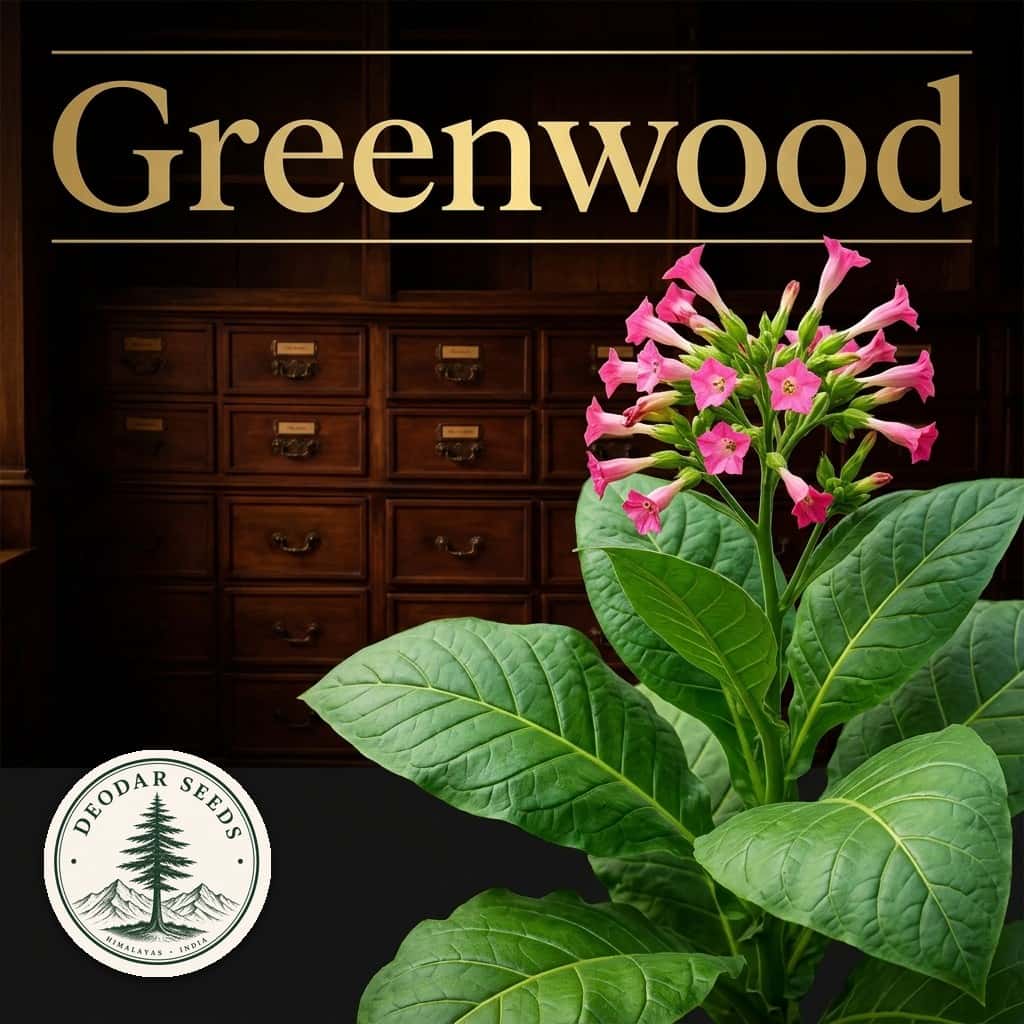 Tobacco Greenwood Seeds — AI-generated kit illustration