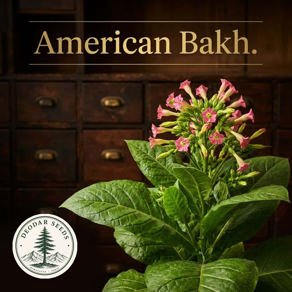 Tobacco American Bakhchisarayskiy Seeds — AI-generated kit illustration