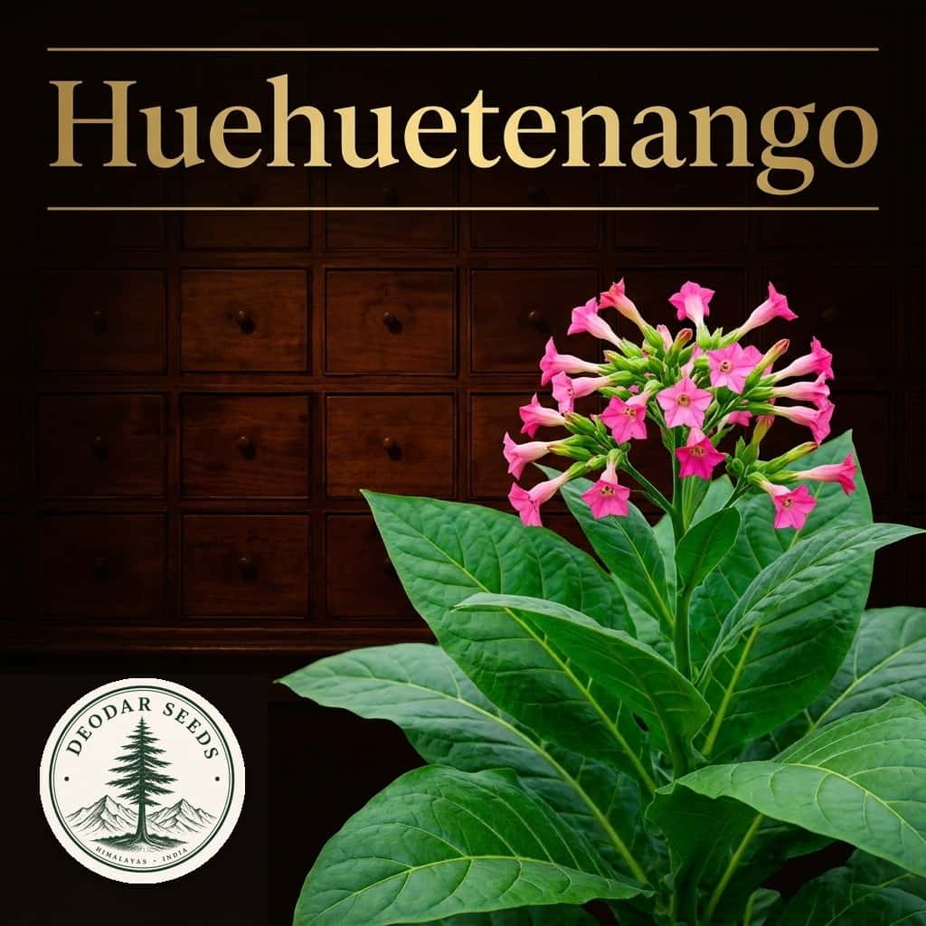 Tobacco Huehuetenango Seeds — AI-generated kit illustration
