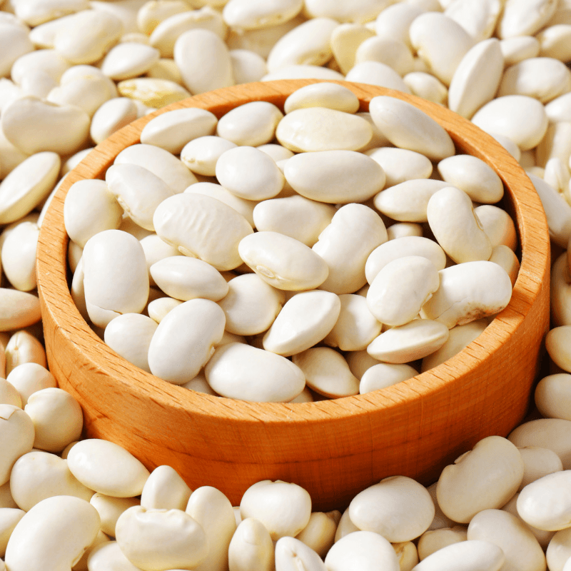 Lima big white beans