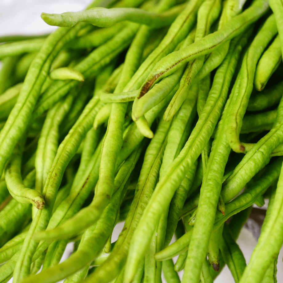 Guar seeds agrotechnic growing guide