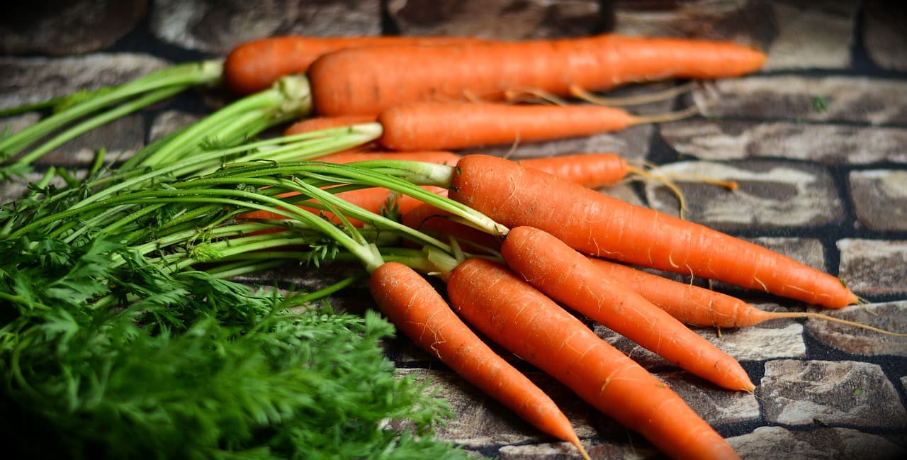 Orange Carrot Seeds