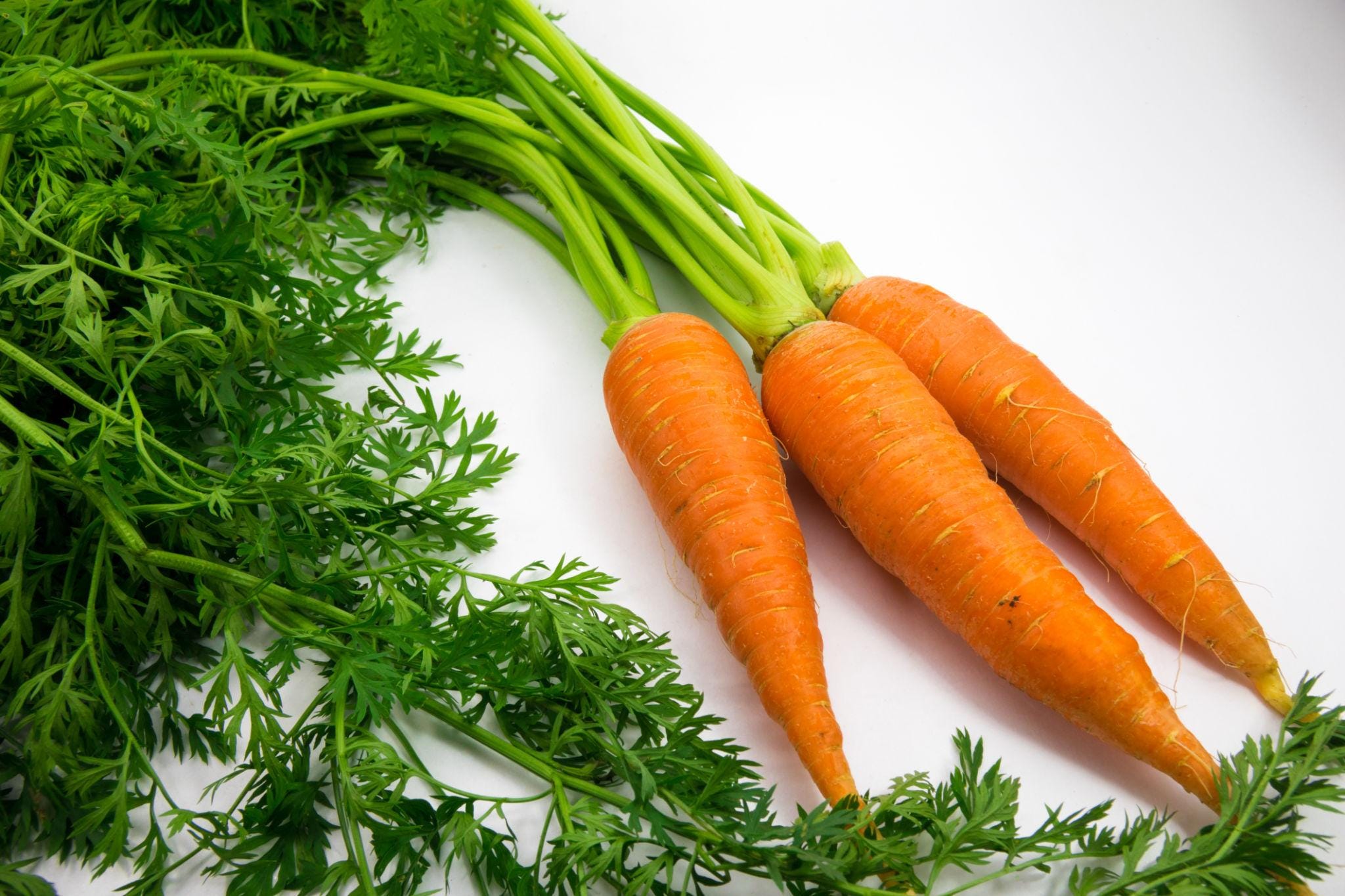 Orange Carrot Seeds