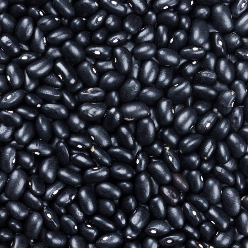 Black rajma beans Seeds