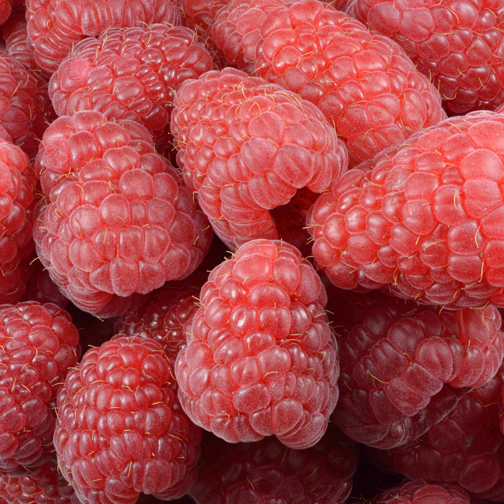Big raspberry Maroseika Seeds
