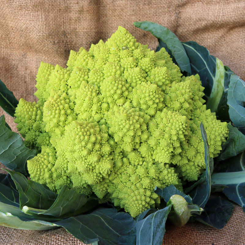 Romanesque cauliflower Seeds