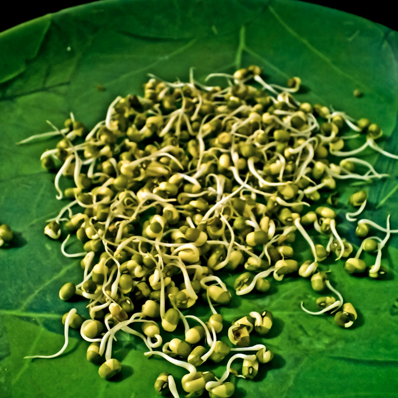 Green Moong Dal Seeds