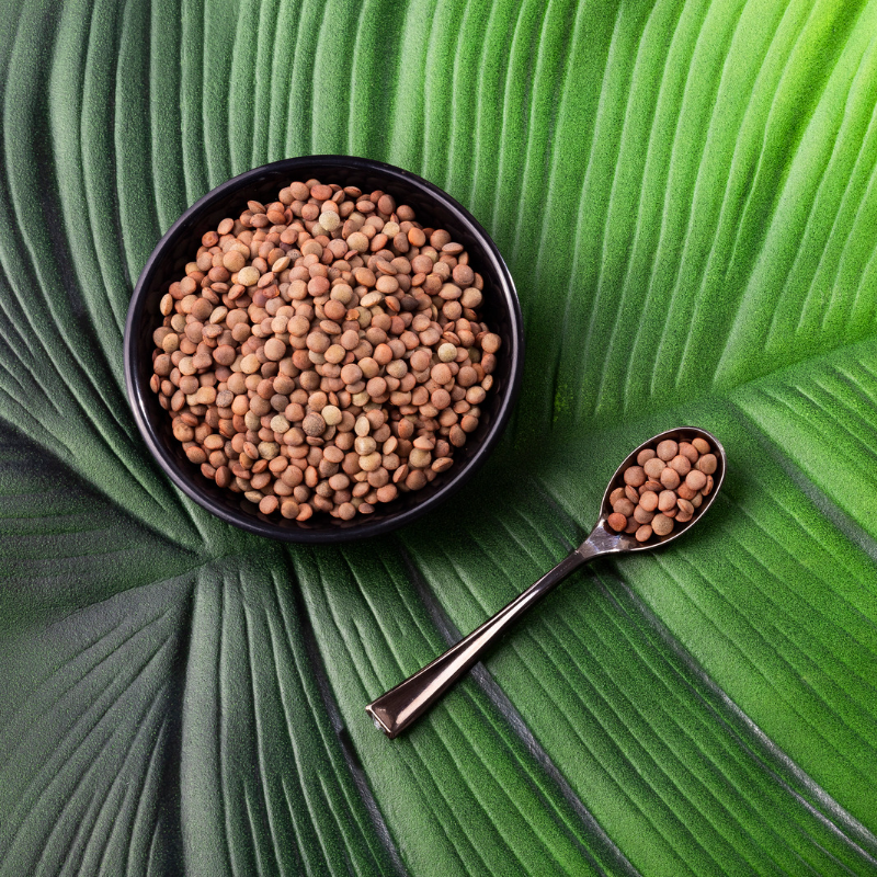 Brown Lentils Pardina, Masur dal Seeds